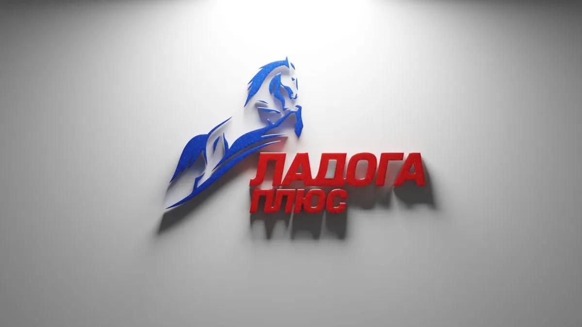 Баннер магазина Ладога плюс