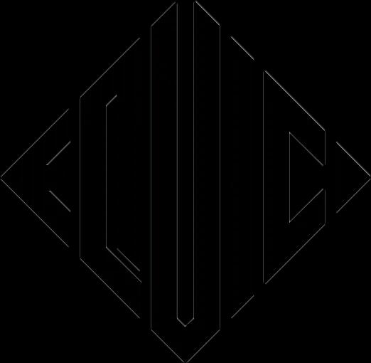 Логотип EQUINE ICON